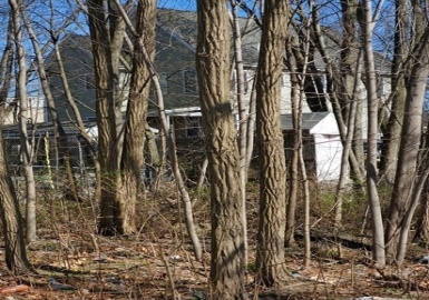 28 Sheppard St, Brockton, Massachusetts 02301, ,Land,For Sale,Sheppard St,73089310