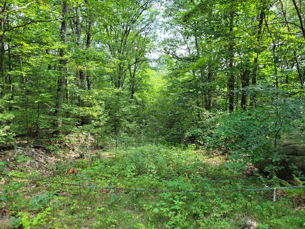 0 Williamsville Rd L:12, Phillipston, Massachusetts 01331