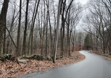91 Clark Rd, Sturbridge, Massachusetts 01518, ,Land,For Sale,Clark Rd,73094695