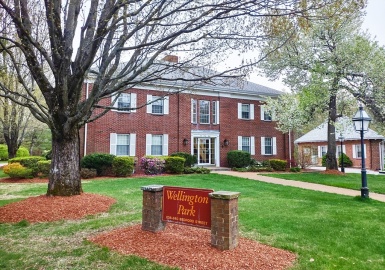 238 Bedford Street, Lexington, Massachusetts 02420, ,Commercial Lease,For Rent,Bedford Street,73196559