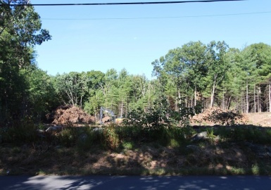 Lot 1 Prospect Street, Franklin, Massachusetts 02038, ,Land,For Sale,Prospect Street,73050465