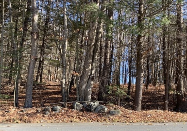 0 Willcutt Rd, Chesterfield, Massachusetts 01012, ,Land,For Sale,Willcutt Rd,73057785