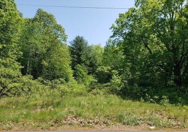 68 Northwest Road, Westfield, Massachusetts 01085, ,Land,For Sale,Northwest Road,73113993