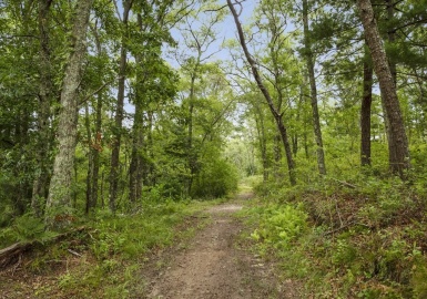 451 Scenic Hwy Lot 2, Bourne, Massachusetts 02532, ,Land,For Sale,Scenic Hwy Lot 2,73055747