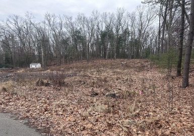 0 Longview St, Palmer, Massachusetts 01069, ,Land,For Sale,Longview St,73070846