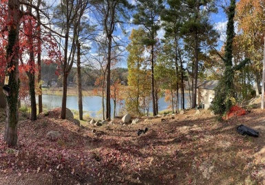12 Woodward Ave, Gloucester, Massachusetts 01930, ,Land,For Sale,Woodward Ave,73062969