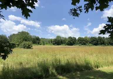 0 Main St, Lancaster, Massachusetts 01523, ,Land,For Sale,Main St,73021381