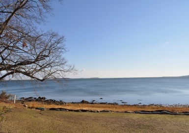 41 East Ave, Kingston, Massachusetts 02364, ,Land,For Sale,East Ave,73063161