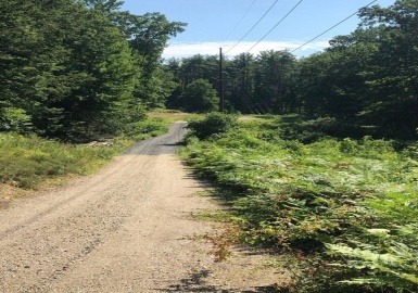 0 Middle Rd, Southampton, Massachusetts 01073, ,Land,For Sale,Middle Rd,73057691