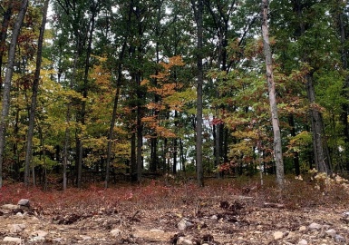 Lot 6 Sperry Lane, North Attleboro, Massachusetts 02760, ,Land,For Sale,Sperry Lane,73049744
