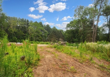 44 Davis Rd, Millbury, Massachusetts 01527, ,Land,For Sale,Davis Rd,73075665