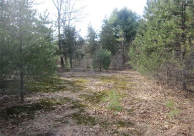 Lot 1 Marion St, Rehoboth, Massachusetts 02769, ,Land,For Sale,Marion St,73000549