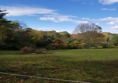 0 Highland Ave, Montague, Massachusetts 01351, ,Land,For Sale,Highland Ave,73065974