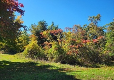 3089 Pine St, Palmer, Massachusetts 01069, ,Land,For Sale,Pine St,73098655