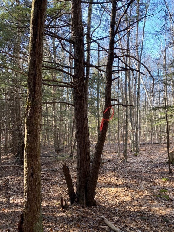 0 Pickerel Close Rd, Becket, Massachusetts 01223