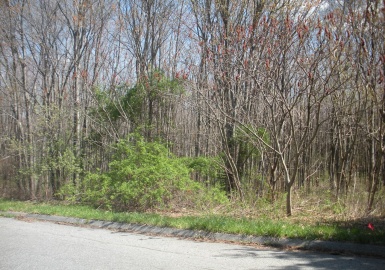 23 Prospect Hills Dr, East Longmeadow, Massachusetts 01028, ,Land,For Sale,Prospect Hills Dr,73070549