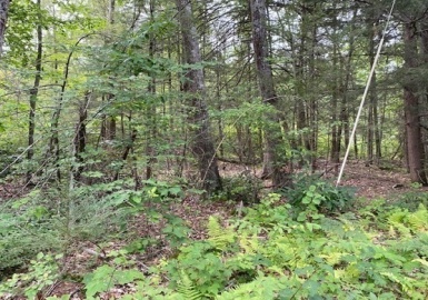 407/77-2A New Athol Rd, Petersham, Massachusetts 01366, ,Land,For Sale,New Athol Rd,73094060