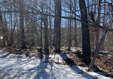 0 A Alan Dale Dr, Becket, Massachusetts 01223, ,Land,For Sale,A Alan Dale Dr,73086200