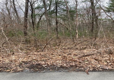 471-473 Mary Street, North Attleboro, Massachusetts 02760, ,Land,For Sale,Mary Street,73083221