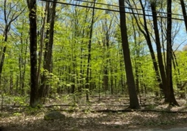 13 West St, Pepperell, Massachusetts 01463, ,Land,For Sale,West St,73110176