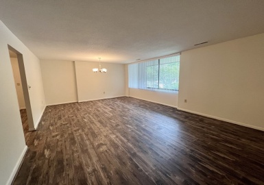 1008 Paradise Rd, Swampscott, Massachusetts 01907, 2 Bedrooms Bedrooms, 4 Rooms Rooms,2 BathroomsBathrooms,Residential Lease,For Rent,Paradise Rd,73066130