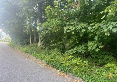 0 Johnson St., Taunton, Massachusetts 02780, ,Land,For Sale,Johnson St.,73143176