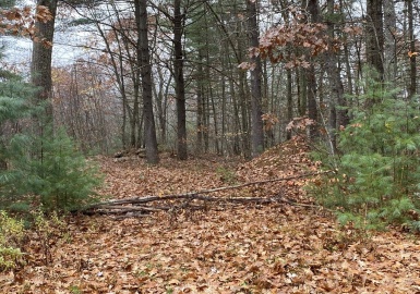 Lot B1&2 Baldwinville Rd, Winchendon, Massachusetts 01475, ,Land,For Sale,Baldwinville Rd,73058240