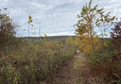 0 Holland Rd, Brimfield, Massachusetts 01010, ,Land,For Sale,Holland Rd,73110118