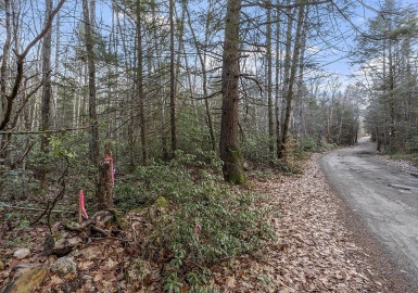 lot 44-2 Cummings Rd, Winchendon, Massachusetts 01475, ,Land,For Sale,Cummings Rd,73079761