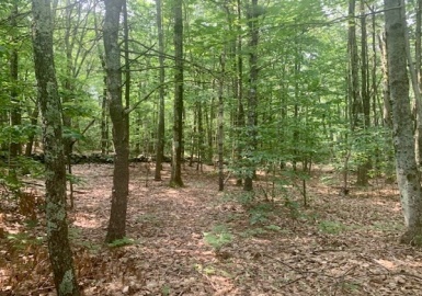 Lots 2-5 Old Northfield/Richardson, Ashby, Massachusetts 01431, ,Land,For Sale,Old Northfield/Richardson,73136679