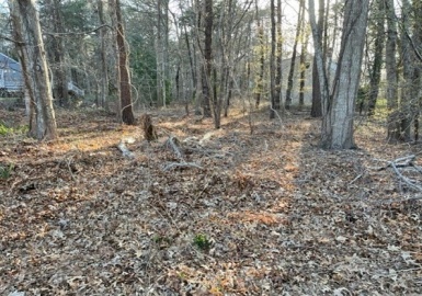 29 Barnboard Ln, Yarmouth, Massachusetts 02673, ,Land,For Sale,Barnboard Ln,73101840
