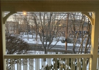 50 Braeland Ave, Newton, Massachusetts 02459, 3 Bedrooms Bedrooms, 6 Rooms Rooms,1 BathroomBathrooms,Residential Lease,For Rent,Braeland Ave,73064454