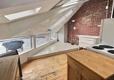 259 W Newton, Boston, Massachusetts 02116, 2 Rooms Rooms,1 BathroomBathrooms,Residential Lease,For Rent,W Newton,73073482
