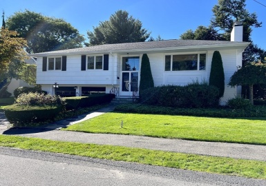 151 Woodbine Cir, Needham, Massachusetts 02492, 3 Bedrooms Bedrooms, 7 Rooms Rooms,2.5 BathroomsBathrooms,Residential Lease,For Rent,Woodbine Cir,73041670