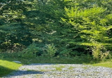 18 Shelton Street, Dracut, Massachusetts 01826, ,Land,For Sale,Shelton Street,73078356