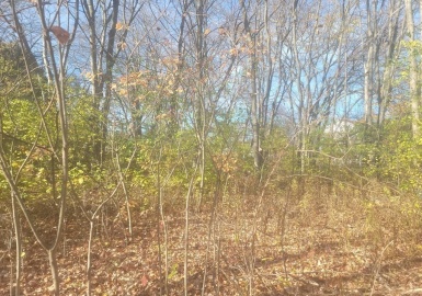 0 Linwood Avenue, Methuen, Massachusetts 01844, ,Land,For Sale,Linwood Avenue,73080670