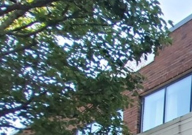 14 South Street, Westborough, Massachusetts 01581, ,Commercial Lease,For Rent,South Street,73033443