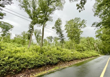 121 Munn Road, Monson, Massachusetts 01057, ,Land,For Sale,Munn Road,73127137