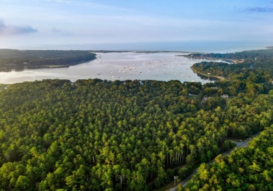 135 Putnam Avenue - Lot 8, Barnstable, Massachusetts 02635, ,Land,For Sale,Putnam Avenue - Lot 8,73145445