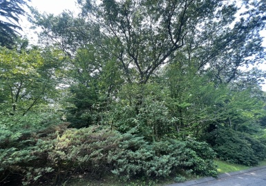 0 Revere Road, Longmeadow, Massachusetts 01106, ,Land,For Sale,Revere Road,73135394