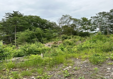 Lot a Carpenter Street, Orange, Massachusetts 01364, ,Land,For Sale,Carpenter Street,73128931
