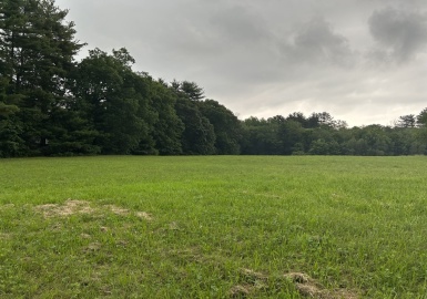 30 Carriage House Ln, Wrentham, Massachusetts 02093, ,Land,For Sale,Carriage House Ln,73126183