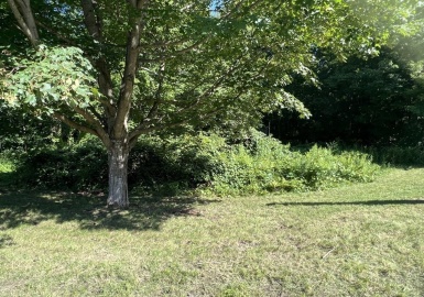 0 West, Ludlow, Massachusetts 01056, ,Land,For Sale,West,73143124