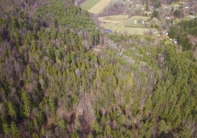 0 Brook Rd, Shelburne, Massachusetts 01370, ,Land,For Sale,Brook Rd,73072428