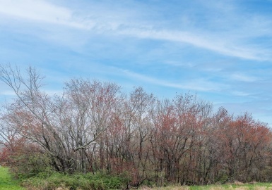 26 Nicholson Hill, Southwick, Massachusetts 01077, ,Land,For Sale,Nicholson Hill,73070663