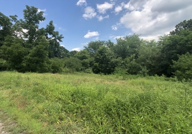 0 Old Montague Rd, Amherst, Massachusetts 01002, ,Land,For Sale,Old Montague Rd,73020293