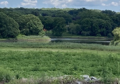0 Gardners Neck Rd (Es), Swansea, Massachusetts 02777, ,Land,For Sale,Gardners Neck Rd (Es),72871042