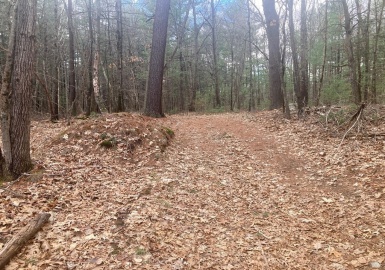 66 Thurlow St, Georgetown, Massachusetts 01833, ,Land,For Sale,Thurlow St,73043334