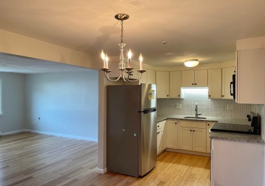 16 Nelson Drive, Randolph, Massachusetts 02368, 2 Bedrooms Bedrooms, 4 Rooms Rooms,1 BathroomBathrooms,Residential Lease,For Rent,Nelson Drive,73065848