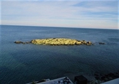 39 Oceanside Drive, Hull, Massachusetts 02045, 1 Bedroom Bedrooms, 3 Rooms Rooms,1 BathroomBathrooms,Residential Lease,For Rent,Oceanside Drive,73067029
